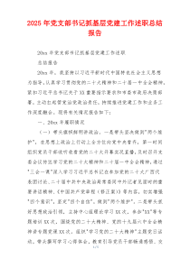 2025年党支部书记抓基层党建工作述职总结报告