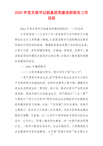 2025年党支部书记抓基层党建述职报告工作总结