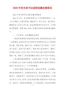 2025年党支部书记述职述廉述德报告