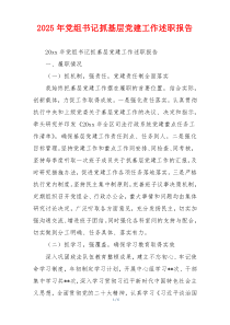 2025年党组书记抓基层党建工作述职报告