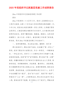 2025年党组织书记抓基层党建工作述职报告