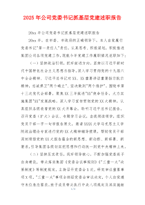 2025年公司党委书记抓基层党建述职报告