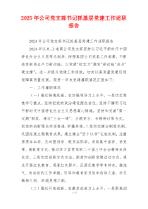 2025年公司党支部书记抓基层党建工作述职报告