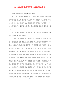 2025年副县长述职述廉述学报告