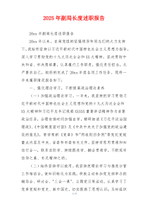 2025年副局长度述职报告