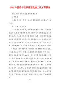 2025年县委书记抓基层党建工作述职报告