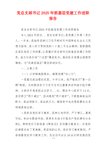 党总支部书记2025年抓基层党建工作述职报告