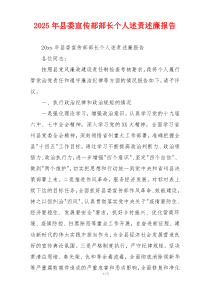 2025年县委宣传部部长个人述责述廉报告