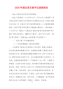 2025年国企党支部书记述职报告