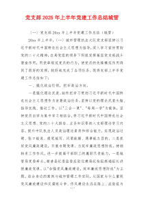 党支部2025年上半年党建工作总结城管
