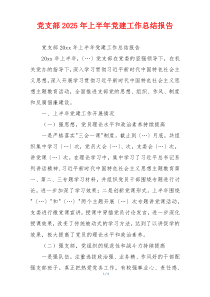 党支部2025年上半年党建工作总结报告
