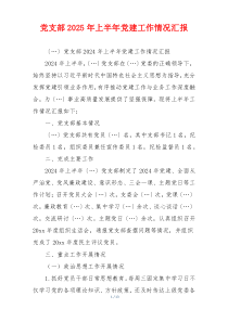 党支部2025年上半年党建工作情况汇报