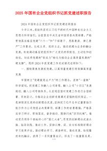 2025年国有企业党组织书记抓党建述职报告