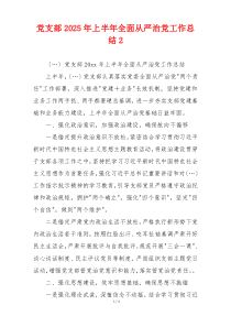 党支部2025年上半年全面从严治党工作总结2