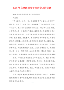 2025年在全区领导干部大会上的讲话