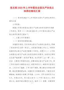 党支部2025年上半年落实全面从严治党主体责任情况汇报