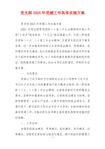 党支部2025年党建工作具体实施方案