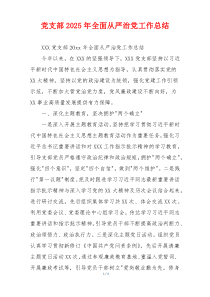 党支部2025年全面从严治党工作总结