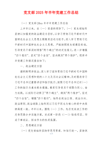 党支部2025年半年党建工作总结