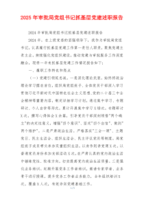 2025年审批局党组书记抓基层党建述职报告