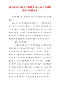 党支部2025年工作总结及2025年工作规划综合行政执法队