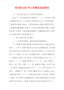 党支部2025年工作情况总结报告