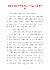 党支部2025年度专题组织生活会照检查材料