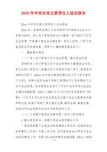 2025年市信访局主要责任人述法报告
