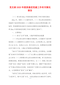 党支部2025年度抓基层党建工作有关情况报告