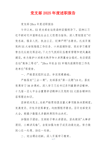 党支部2025年度述职报告