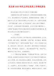 党支部2025年民主评议党员工作情况报告