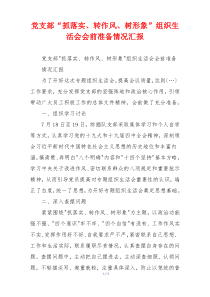 党支部“抓落实、转作风、树形象”组织生活会会前准备情况汇报