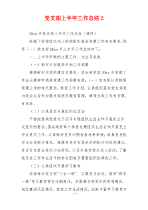 党支部上半年工作总结2