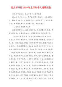 党支部书记2025年上半年个人述职报告