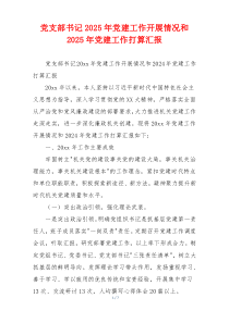 党支部书记2025年党建工作开展情况和2025年党建工作打算汇报