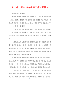 党支部书记2025年党建工作述职报告