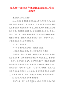 党支部书记2025年履职抓基层党建工作述职报告
