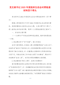 党支部书记2025年度组织生活会对照检查材料四个带头