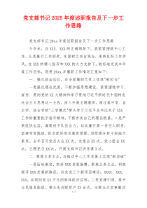 党支部书记2025年度述职报告及下一步工作思路