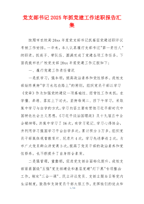 党支部书记2025年抓党建工作述职报告汇集