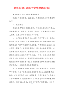 党支部书记2025年抓党建述职报告