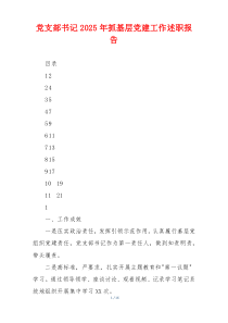 党支部书记2025年抓基层党建工作述职报告