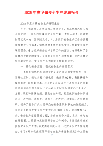 2025年度乡镇安全生产述职报告