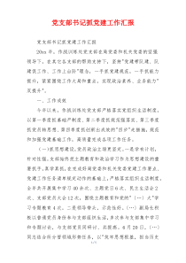 党支部书记抓党建工作汇报