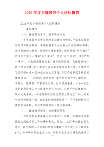 2025年度乡镇领导个人述职报告