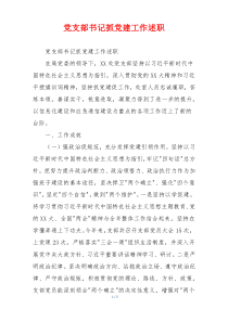 党支部书记抓党建工作述职