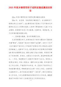 2025年度乡镇领导班子述职述德述廉述法报告