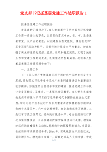 党支部书记抓基层党建工作述职报告1