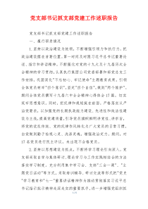 党支部书记抓支部党建工作述职报告
