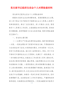 党支部书记组织生活会个人对照检查材料